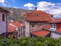 Kotor